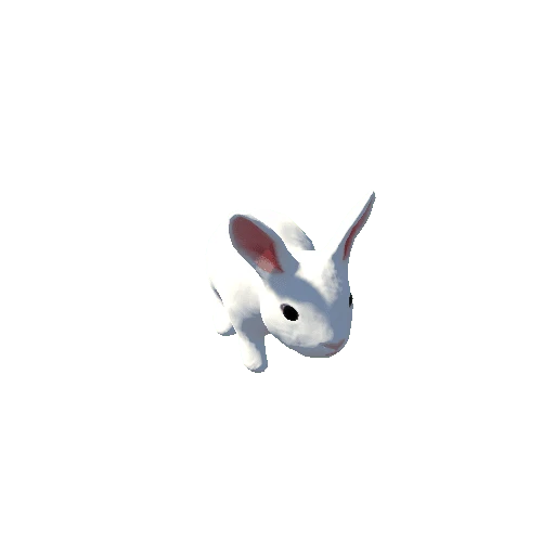 Demo Rabbit